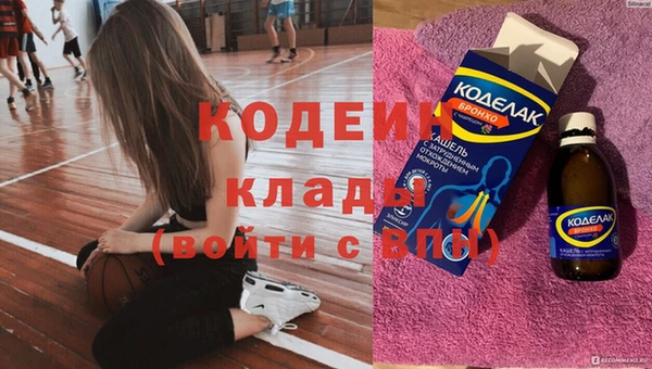индика Анива