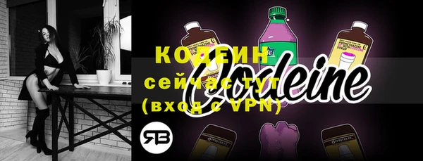 индика Анива