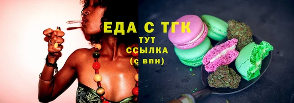 индика Анива