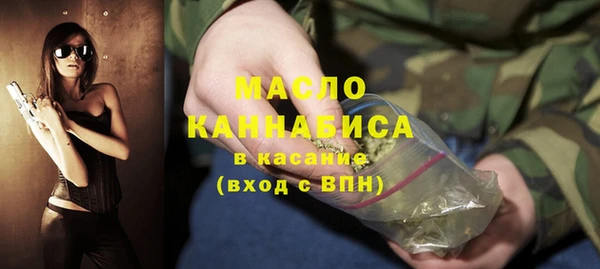 индика Анива