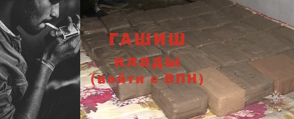 индика Анива