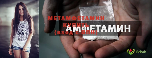 индика Анива