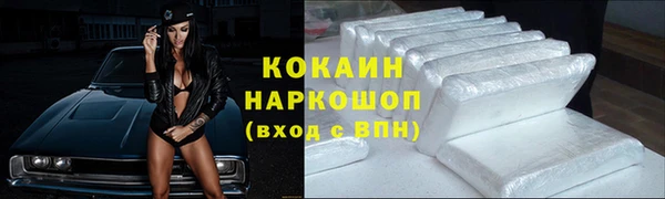 индика Анива
