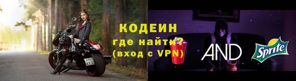 индика Анива