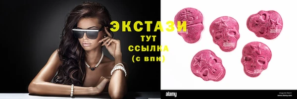 индика Анива