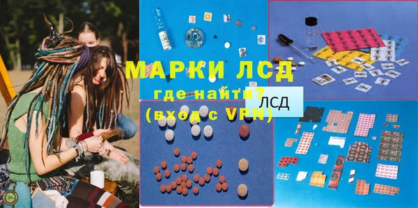 индика Анива