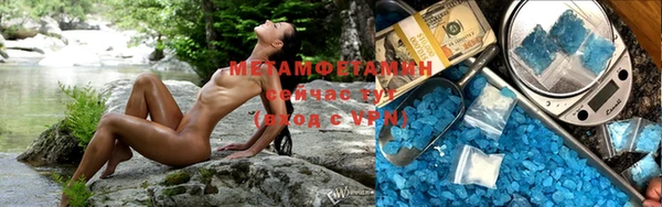 индика Анива