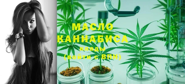 индика Анива