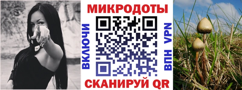 Галлюциногенные грибы Magic Shrooms  Западная Двина 